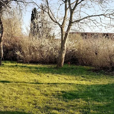 Haus Seenplatte Groß Nemerow Exterior foto