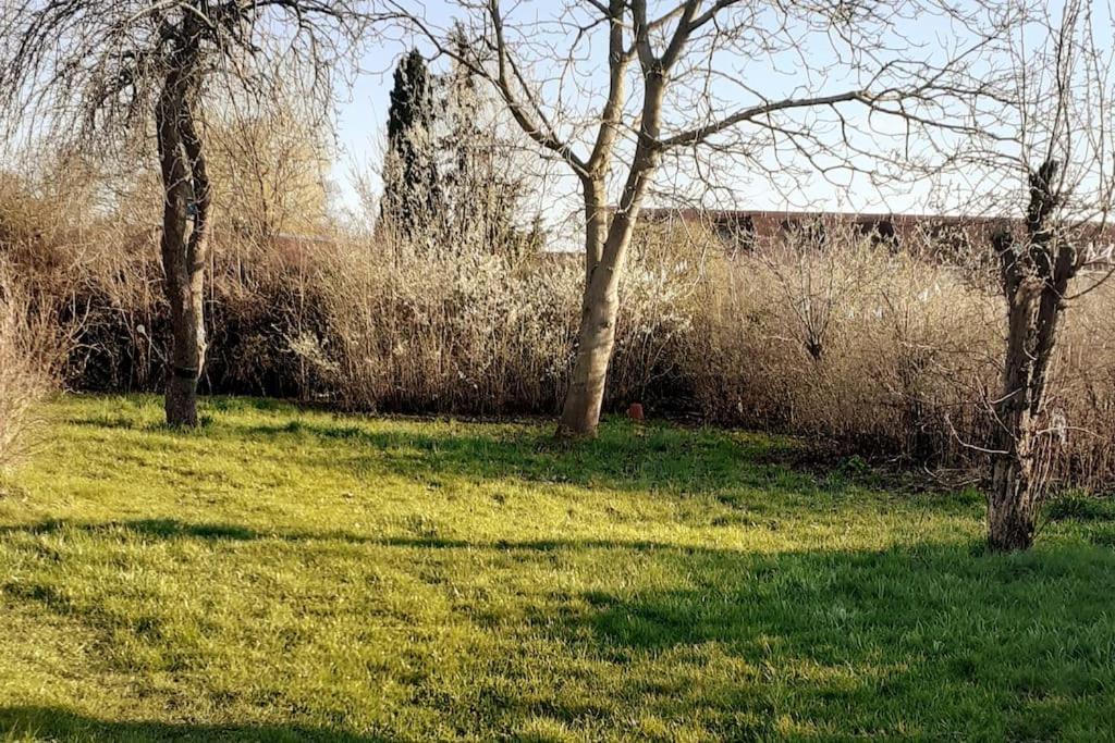 Apartment Haus Seenplatte